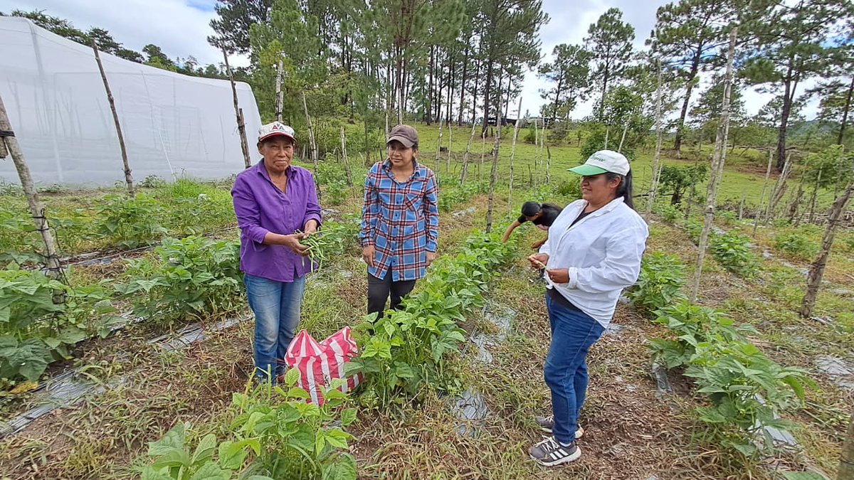 ACDI/VOCA tweet media