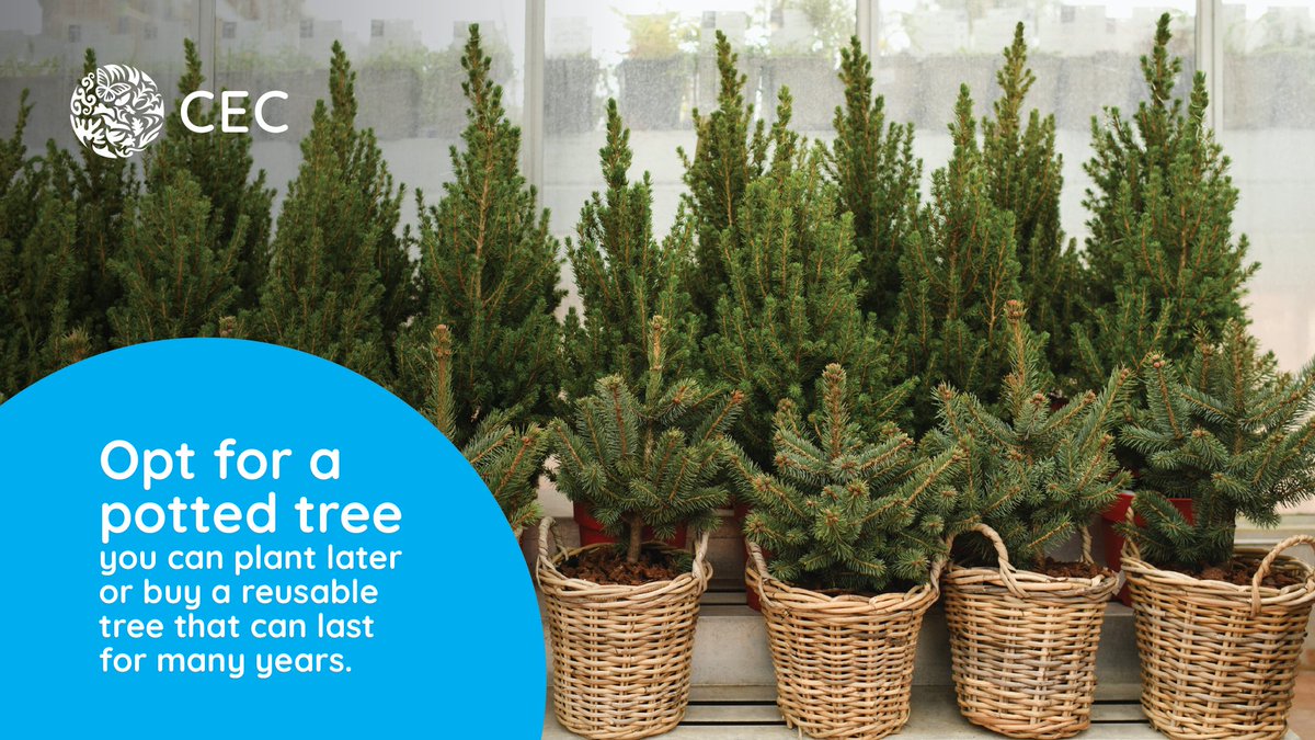 CECweb's tweet image. Here are simple ways to celebrate more sustainably this year:
🎄 Opt for a potted or reusable tree
🎁 Wrap gifts with materials you already have at home
💝 Gift durable items or meaningful experiences
🍲Plan realistic food portions to avoid waste