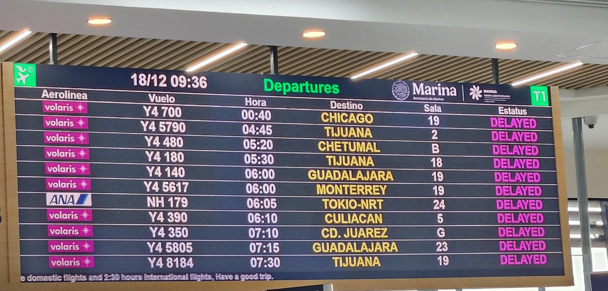 AnalyNuno's tweet image. ... ¿Qué está pasando con @viajaVolaris? Todos sus vuelos demorados o cancelados en @AICM_mx mientras que otras aerolíneas con mismos destinos han salido sin contratiempos prácticamente todos sus vuelos