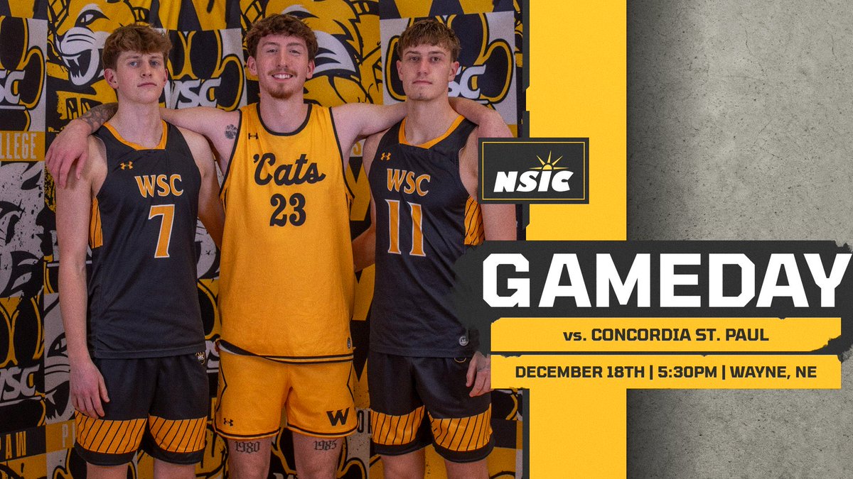 Wayne State MBB tweet media