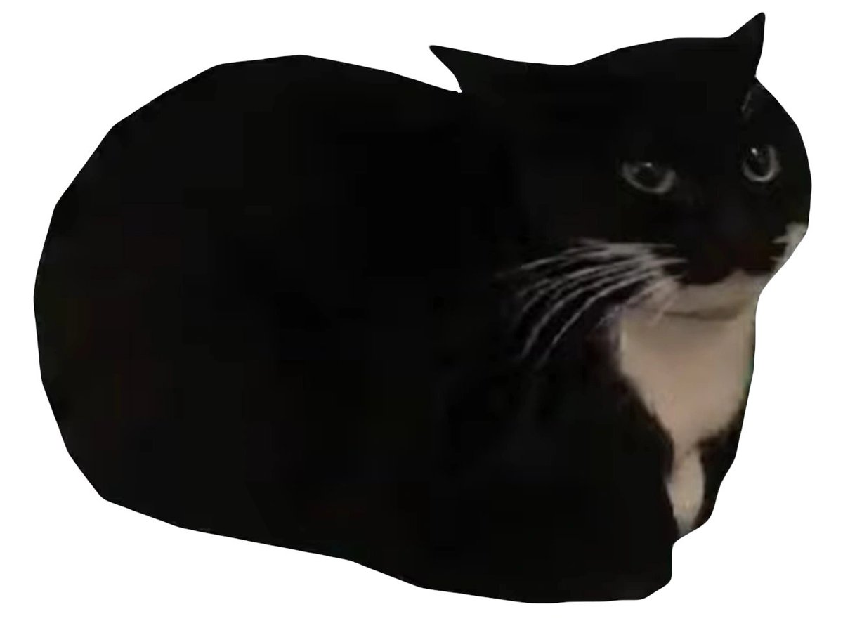 They added the cat meme on Banyue's art