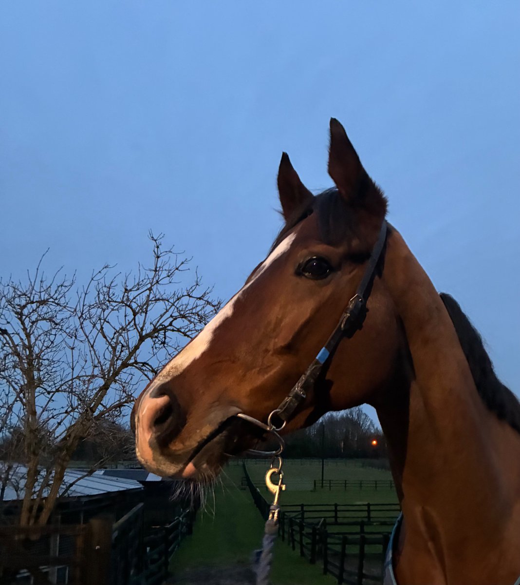Newstart Racing tweet media