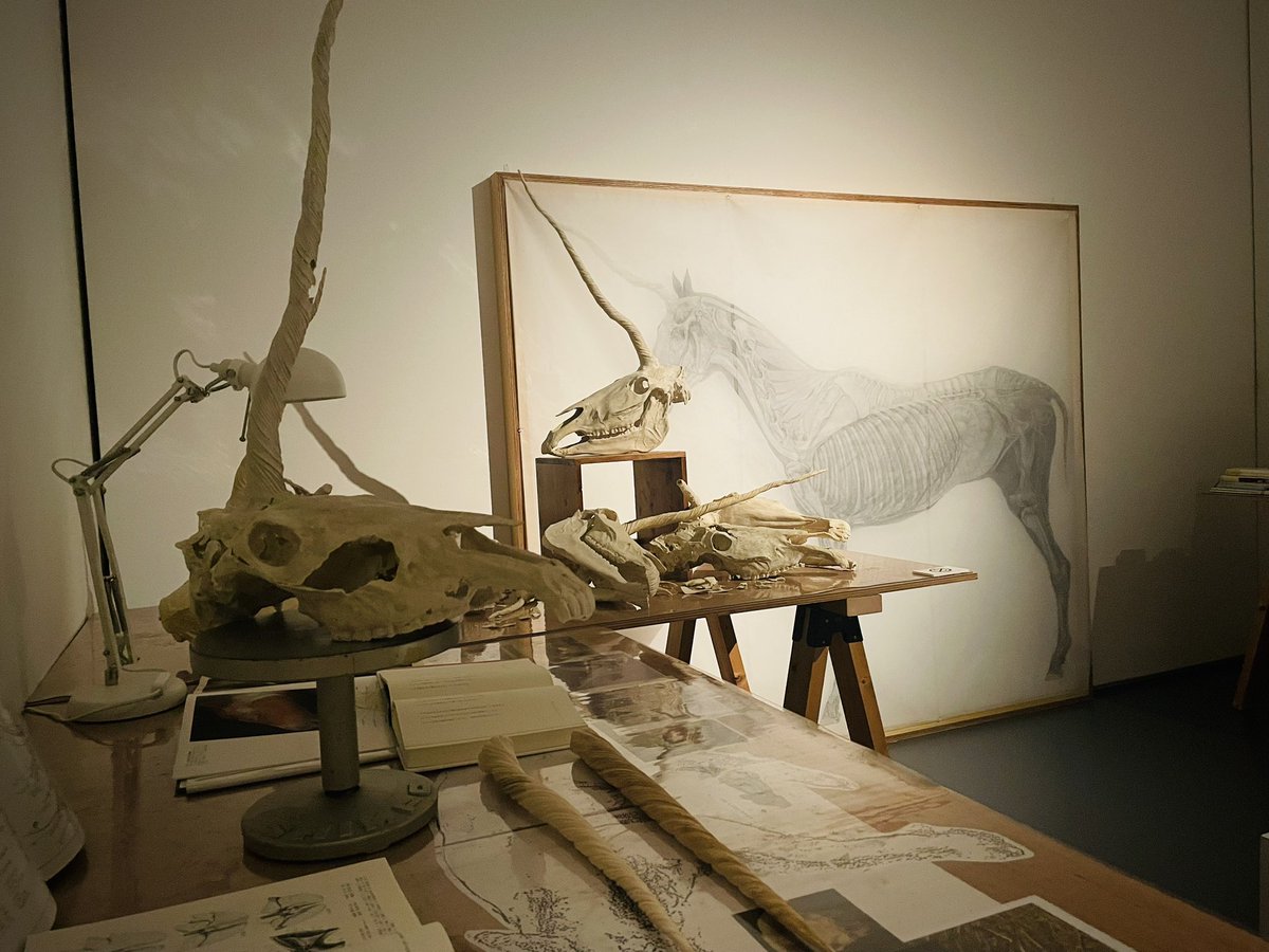 東京藝術大学美術館に21日まで展示されてる平野真美さんの「蘇生するユニコーン」を見に行きました。
骨格から臓器、皮膚、呼吸までを再現する作品。
かく言う私もユニコーン好きの1人なので、この蘇生…というより創造のプロジェクトは魅力的に写りました。蘇生なのに敢えて死体的表現なのも良い。