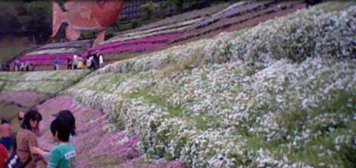 bboing666 tweet media