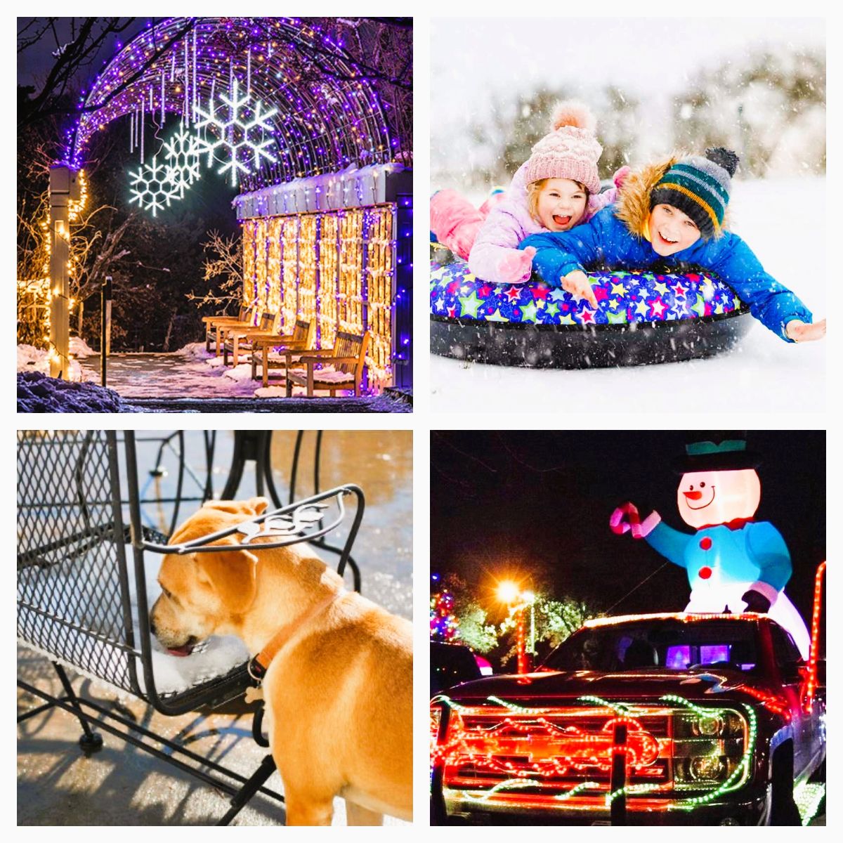 RealtorStieg's tweet image. Twas the week before Christmas - mailchi.mp/85ced6a7bdbe/6…