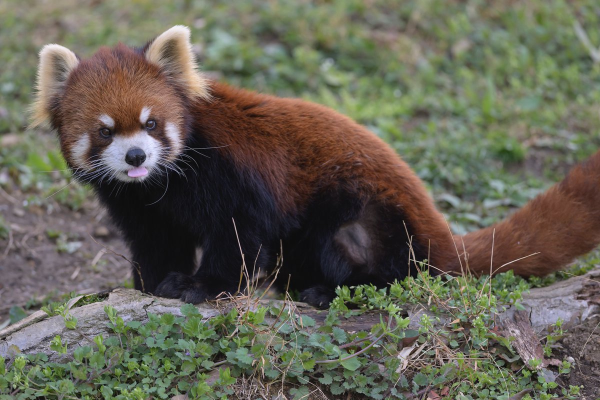 金曜日。がんばろー
