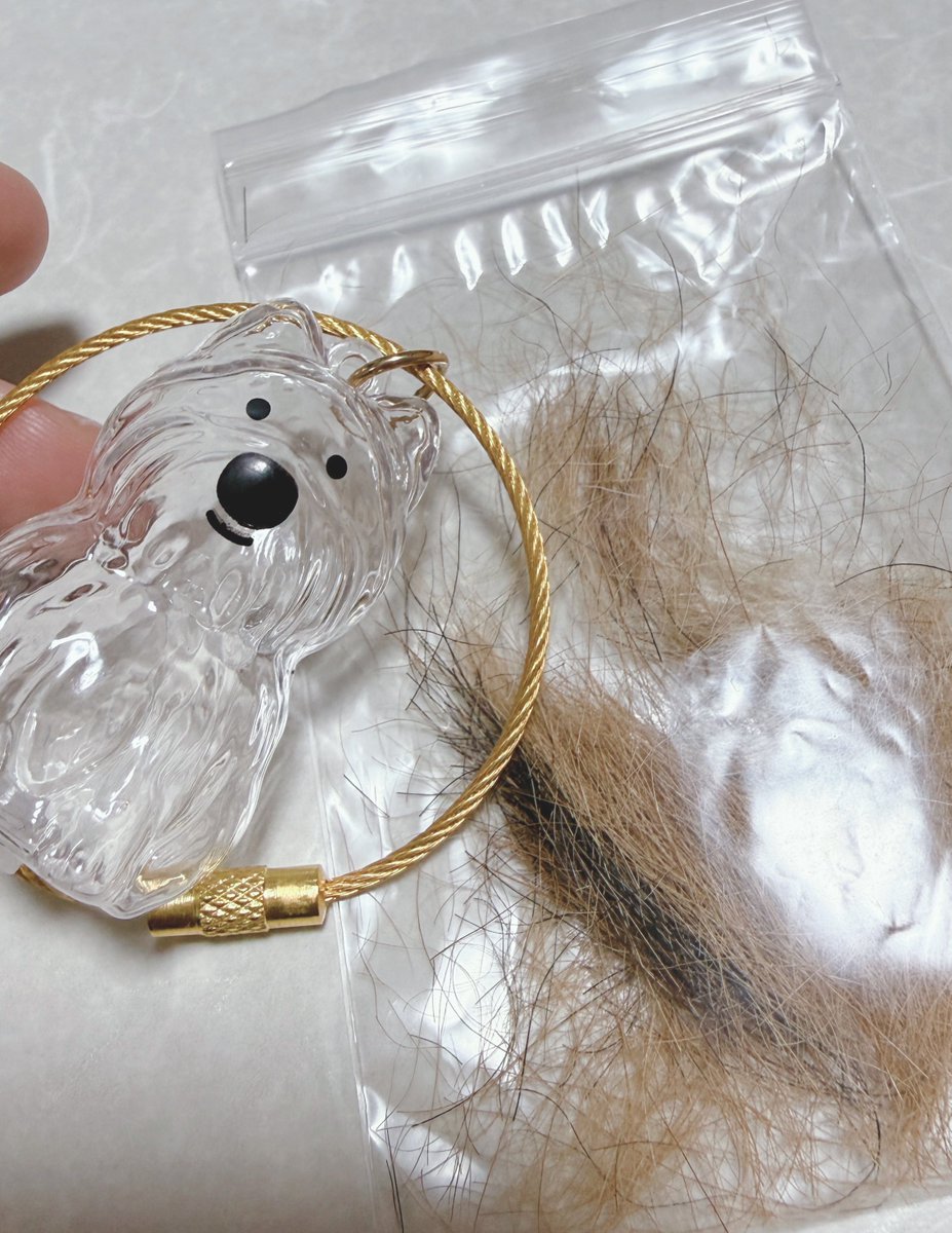 ちーちゃん🎄ZX-4RR (@bakusoumotochiz) / Posts / X