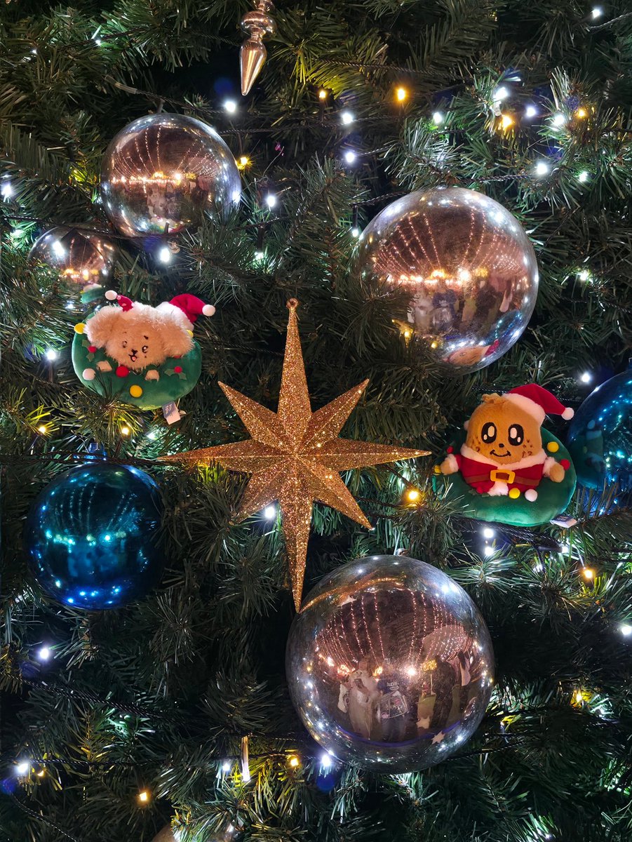 따뚜찌 tweet media