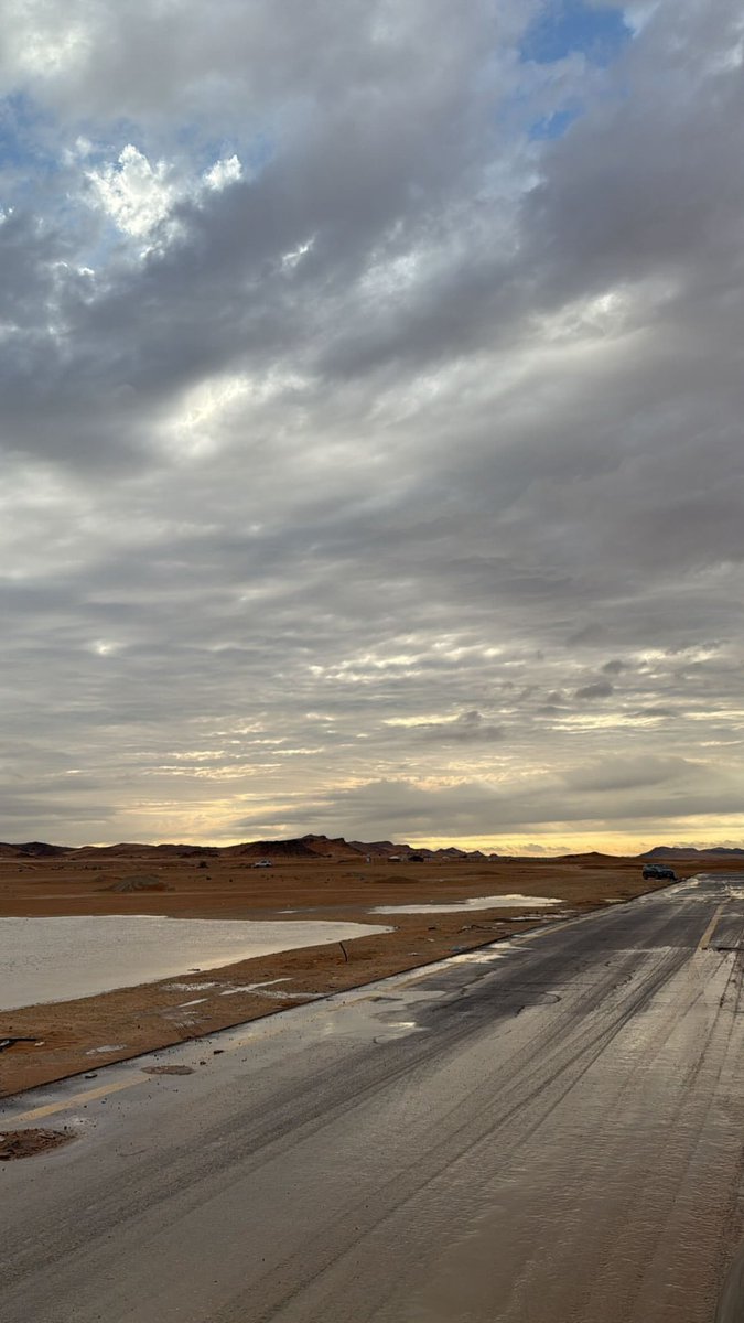 فارس tweet media