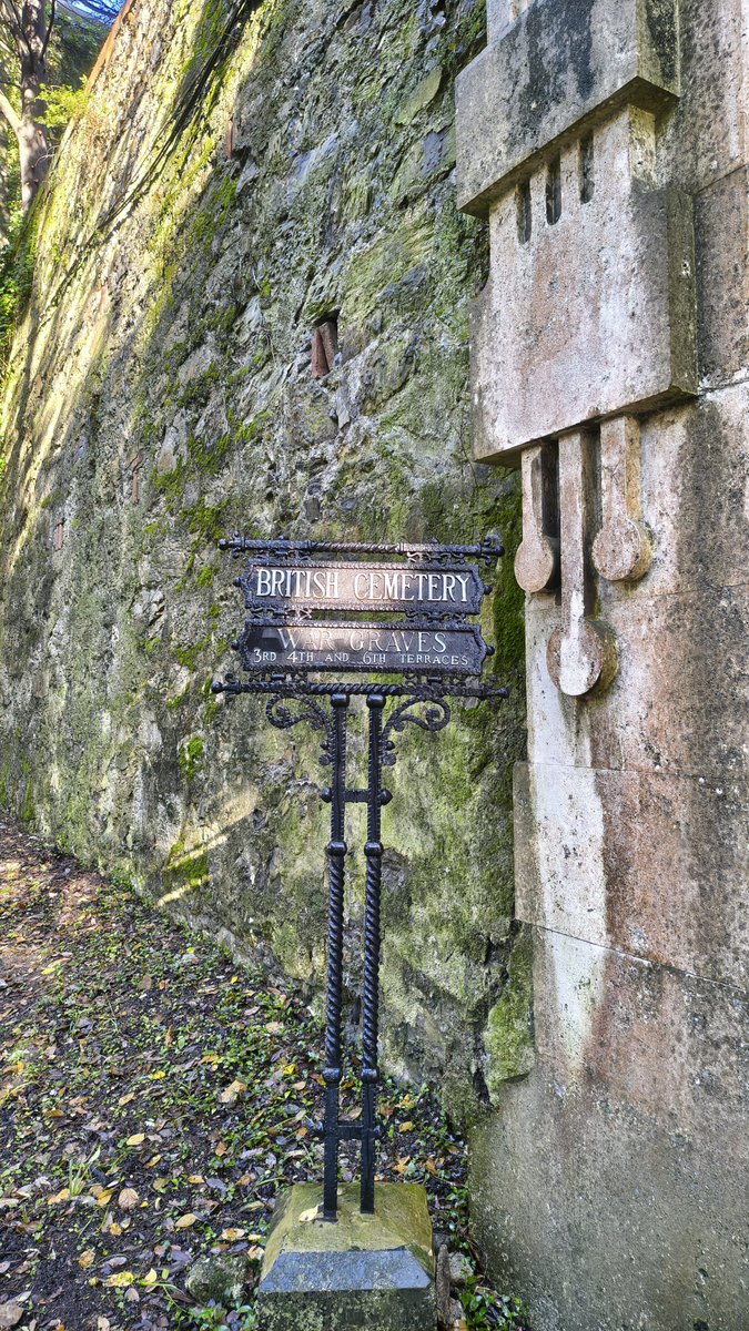 Alexander Marchi tweet media