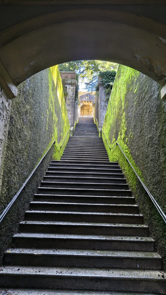 Alexander Marchi tweet media