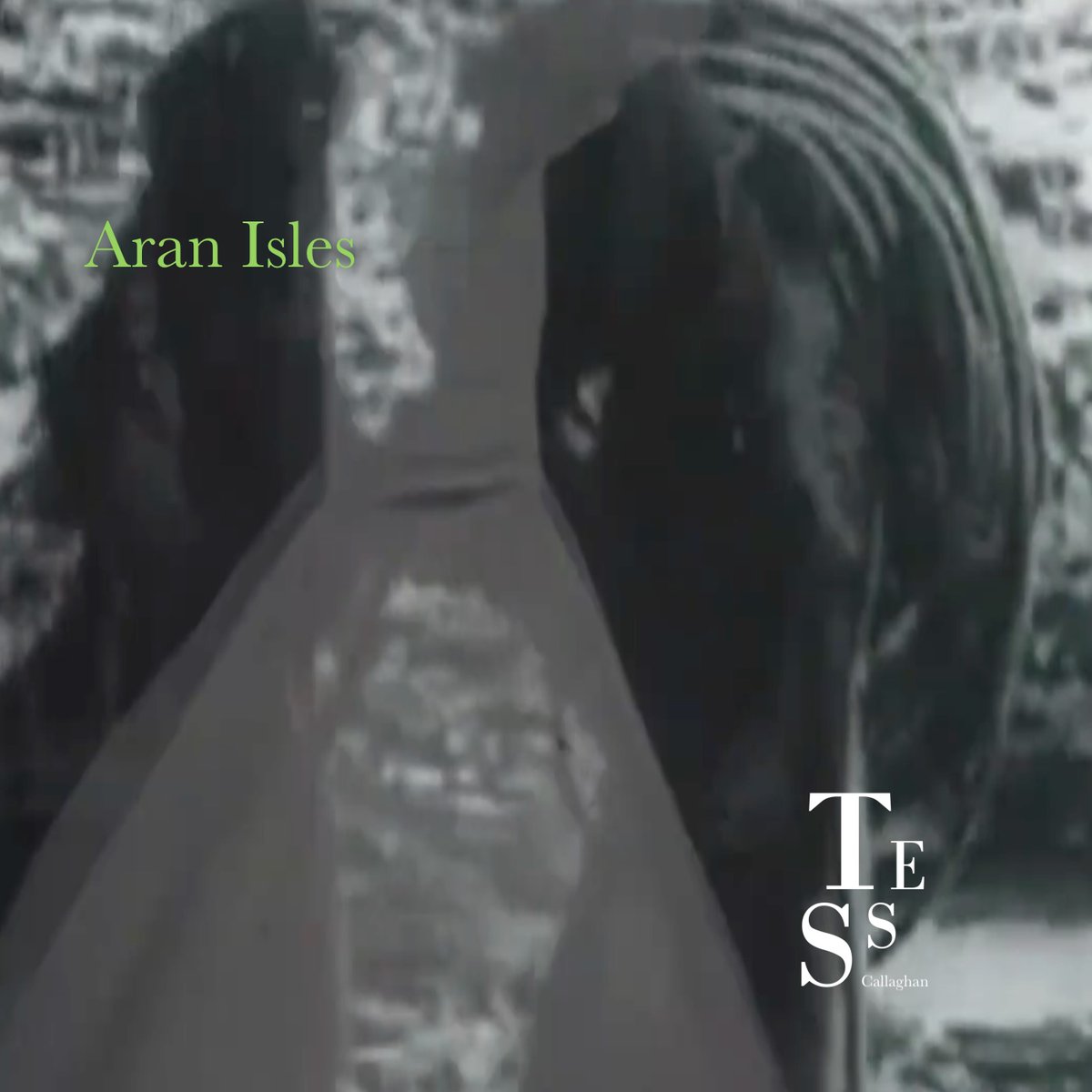 TessCallaghan's tweet photo. Hope you enjoy "Aran Isles" available now on Bandcamp: https://t.co/1ZWjsRtO1h, a dance remix of this song about the group of Islands off the West Coast of Galway, Ireland.  Sufi meets Gael, good for the soul!  X https://t.co/XeffVQBqoR