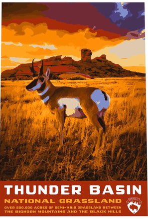 RodeoProfessor's tweet image. Did you know that public land, especially National Grasslands managed by the US Forest Service, are the single largest blocks of relatively intact prairie left in the US and they’re ground zero for restoring the American Serengeti? 

The ‘American Serengeti’ is the nickname given…