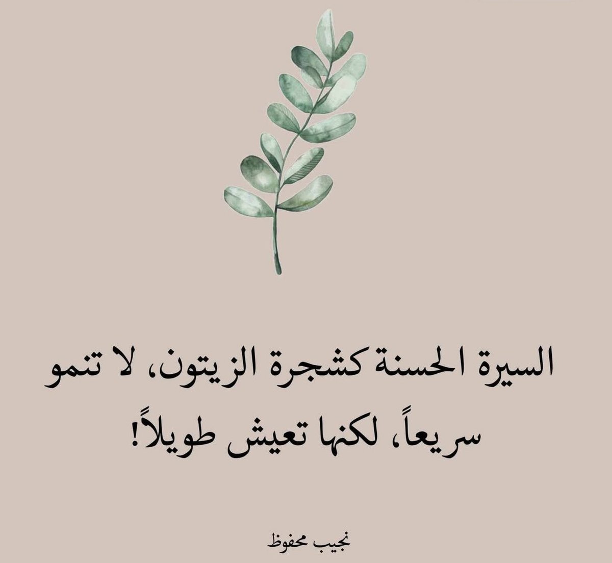 sabah balal (@sbahbilal) on Twitter photo 