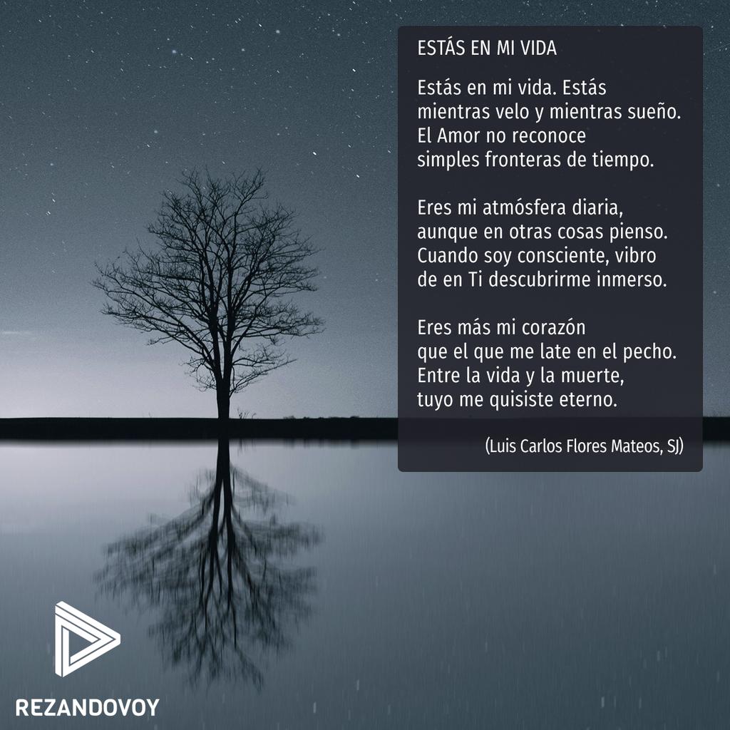 rezandovoy's tweet image. ¿Noto cómo estás en mi vida, Señor?