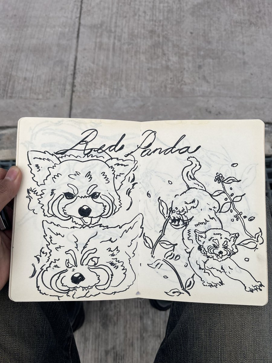 sandblanka's tweet photo. A whole week of red pandas

#sketch #art #design #drawing https://t.co/d3OzAkncUC