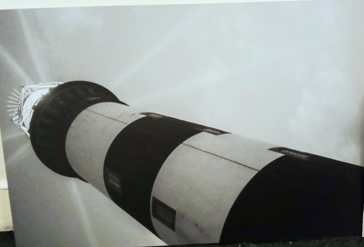 Showing you the way.

#phalleidolia #phalleidolie #pareidolia #pareidolie