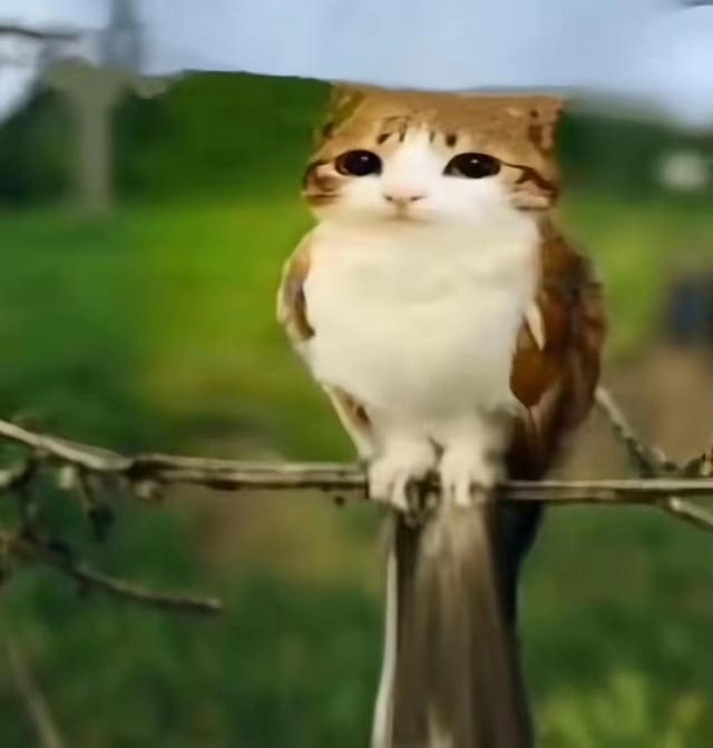 It's really sad to me that ai has taken away the fine art of making shitty animal homunculi on photoshop