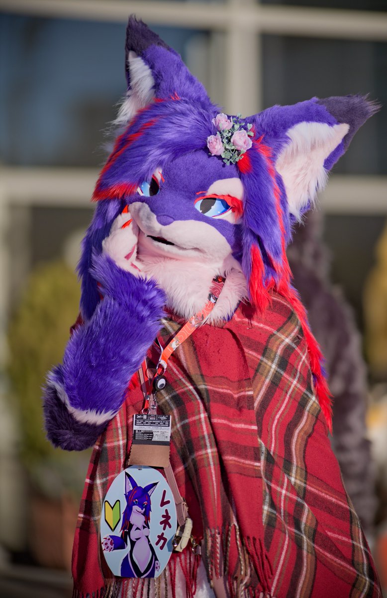 レネカ #JMoF2025 
#FursuitFriday