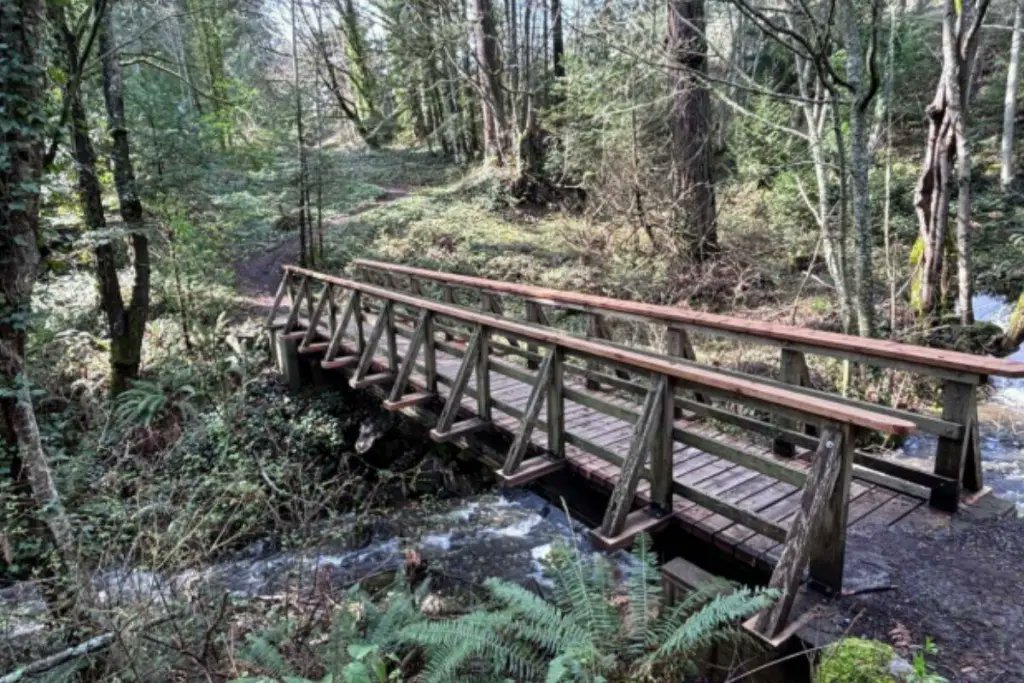 Council clears path to bring trail stewards back to Metchosin 

Read more at: goldstreamgazette.com/2025/12/17/cou…