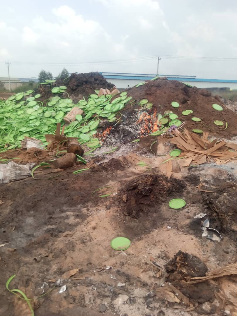 The Ogun State Environmental Protection Agency (OGEPA) Task Force has shut down Forest Timber Industries Ltd &amp; Long Xing Plywood Industries Ltd located at  Okunowa, Odogbolu LGA for repeated environmental violations.

Forest Timber Industries was cited for illegal open burning,