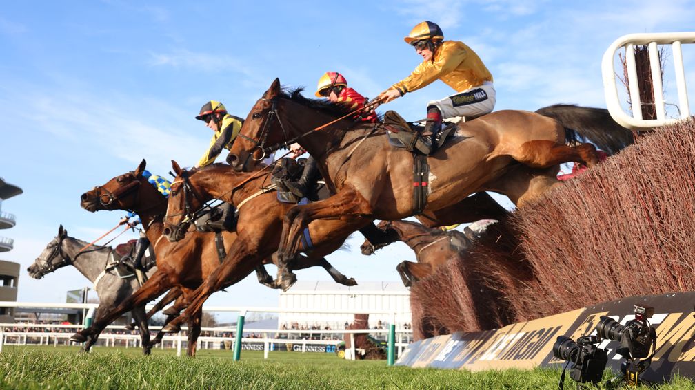 Racing Post Bloodstock tweet media