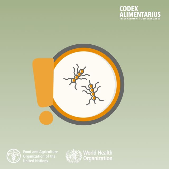 FAOWHOCodex's tweet photo. 📝| Foodborne listeriosis is one of the most serious and severe foodborne diseases. It is caused by the bacteria #Listeria (L.) monocytogenes.

👉L.m. is a Gram-positive bacterium that occurs widely in both agricultural, aquacultural, and food processing environments.

#CCFH55 https://t.co/L3QsSd29Op