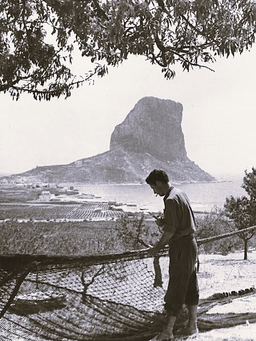 Un Calp de pescadors i de vinyes de moscatell fins a vore mar...
#laMarinaAlta