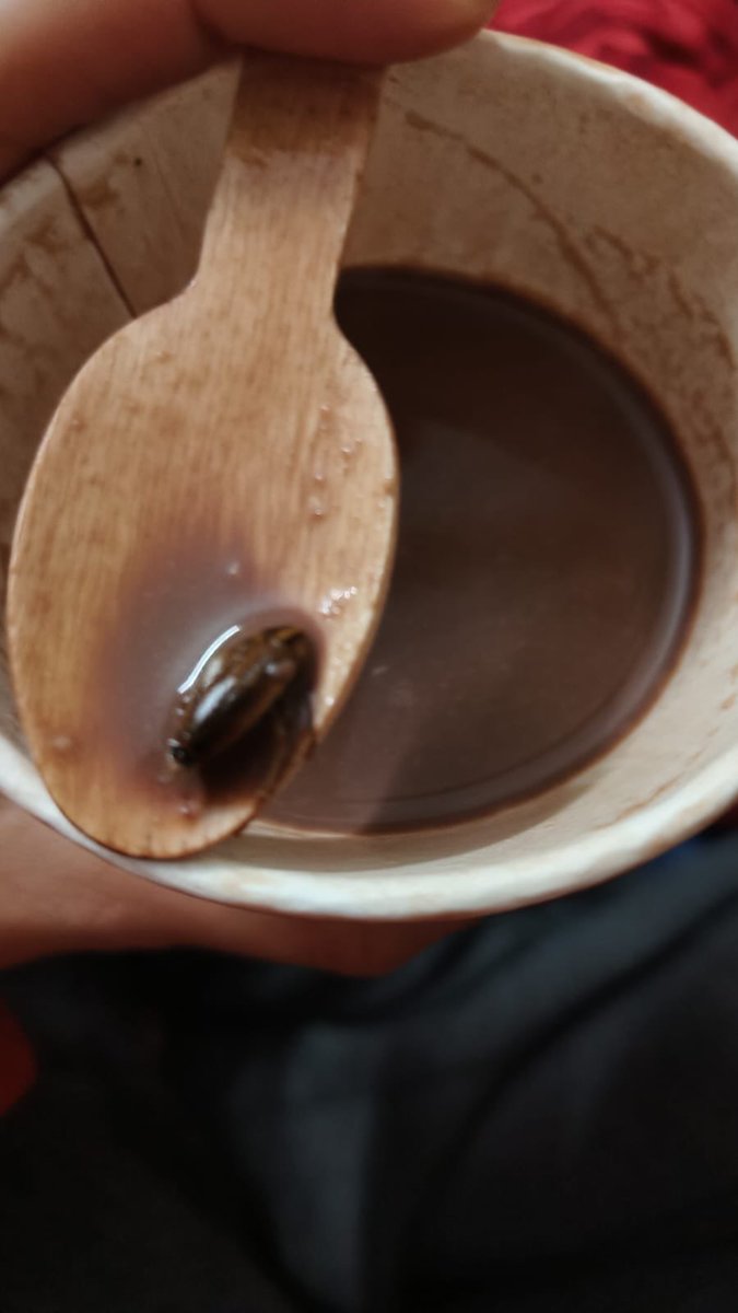 ArpitPandey7's tweet photo. Ordered hot chocolate from Cafe Coffee Day, @CafeCoffeeDay  Pandav Nagar (Delhi) via @zomato on 18 Dec 2025. Shockingly found cockroaches inside the drink (images attached).Requesting an urgent action @fssaiindia. CCD outlet not even answering call. Strict action required. https://t.co/ZgPgf1DLIh