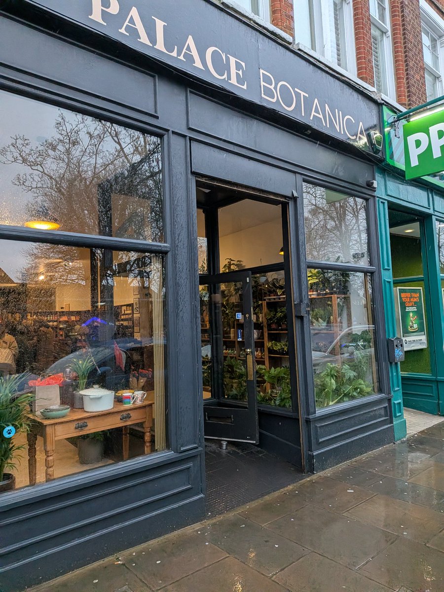 SE19 Triangulations tweet media