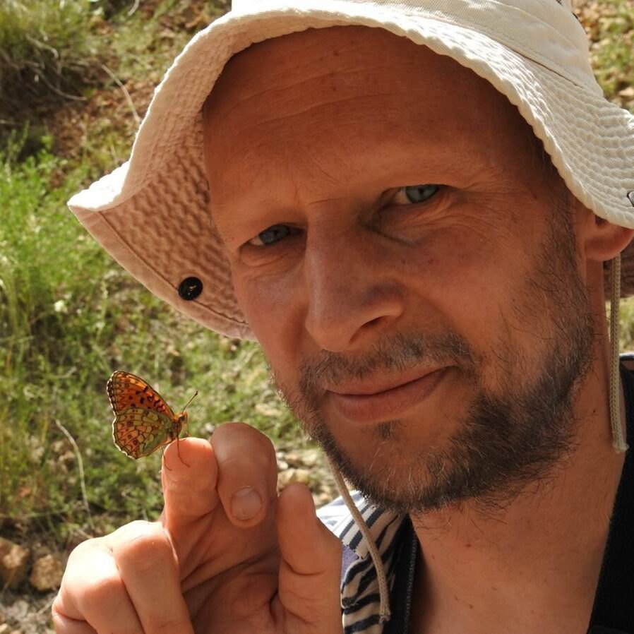 Ecological Entomology tweet media