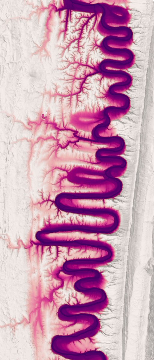 Peter Forister 🍁🍂🍁 tweet media