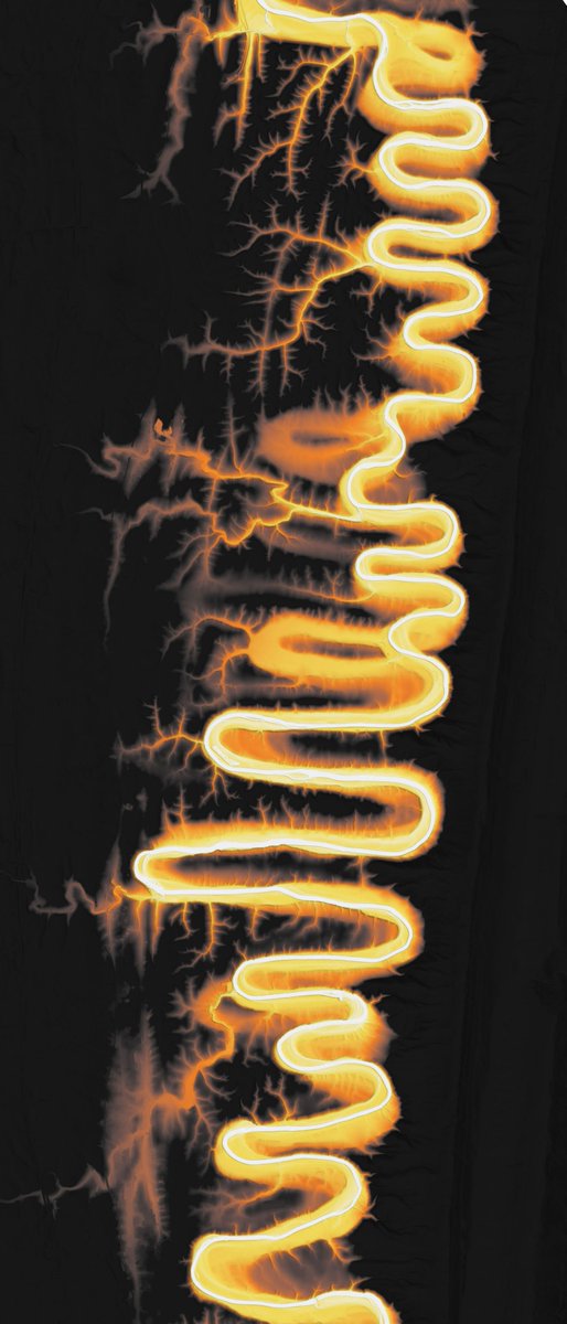 Peter Forister 🍁🍂🍁 tweet media