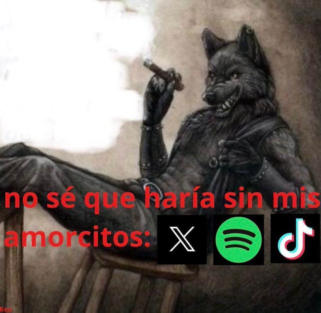 chincheto pirata somali tweet media