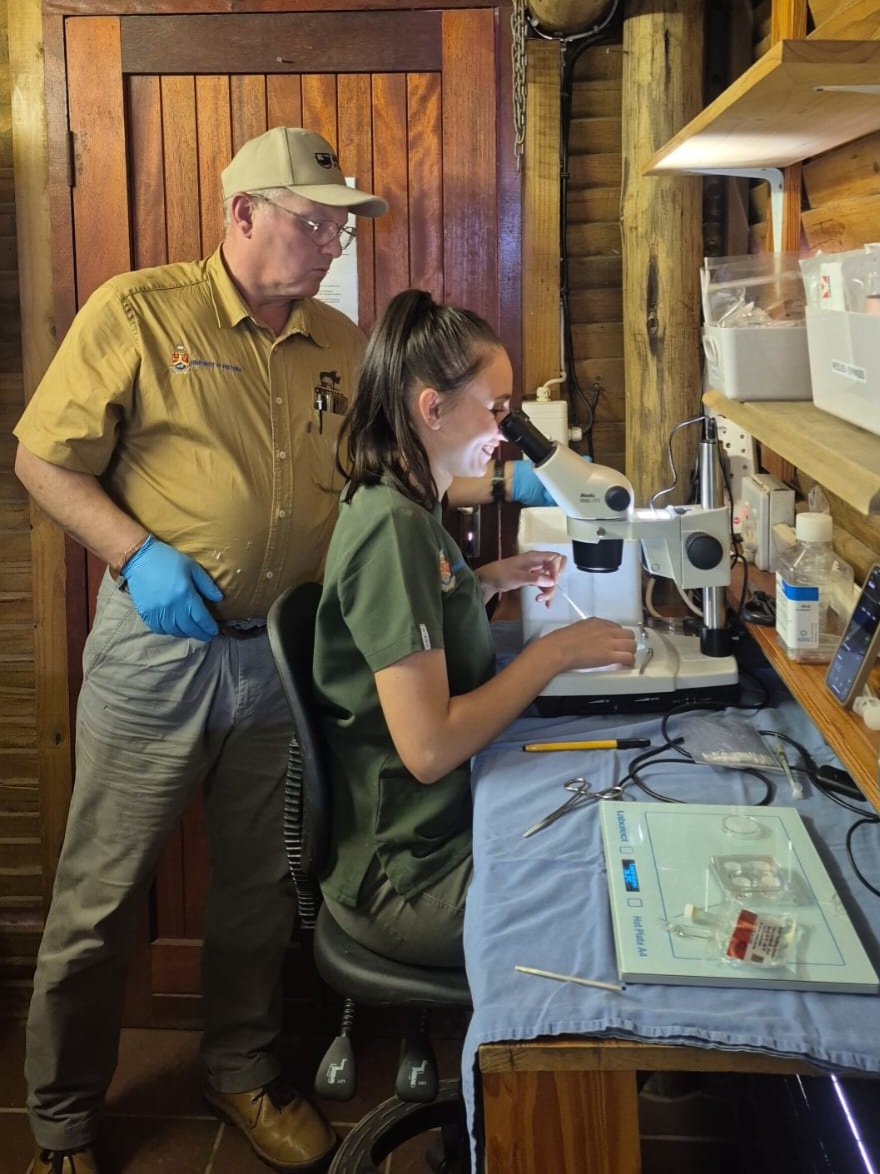 University of Pretoria tweet media