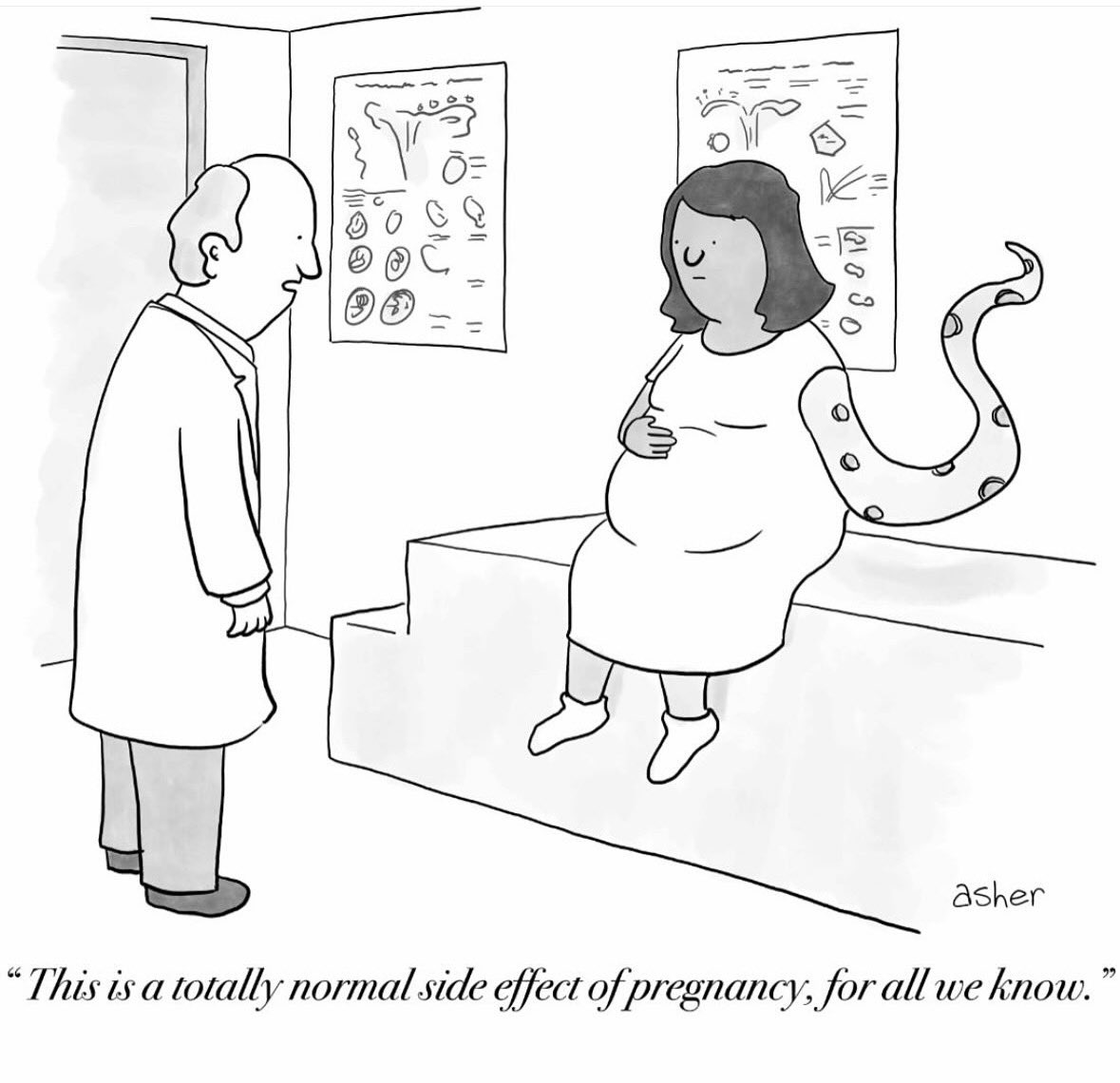 asherperlman's tweet image. 