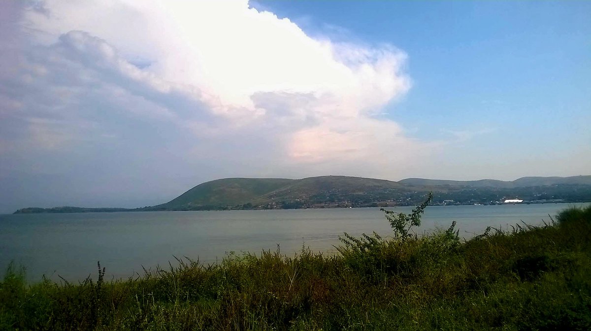 Francis Fares Maro tweet media