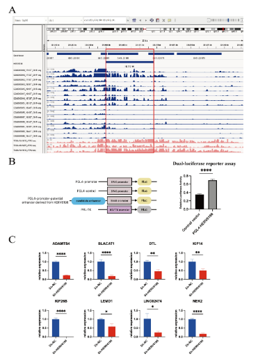 ASMicrobiology's tweet photo. In #JournalSpectrum: HERV6196, a type of human endogenous retrovirus, is involved in the pathogenesis of rectal cancer, indicating the potential contribution of dysregulated HERVs to the development & progression of CRC through gene expression modulation. https://t.co/eO3s2FHCXF https://t.co/zuW120F4SP