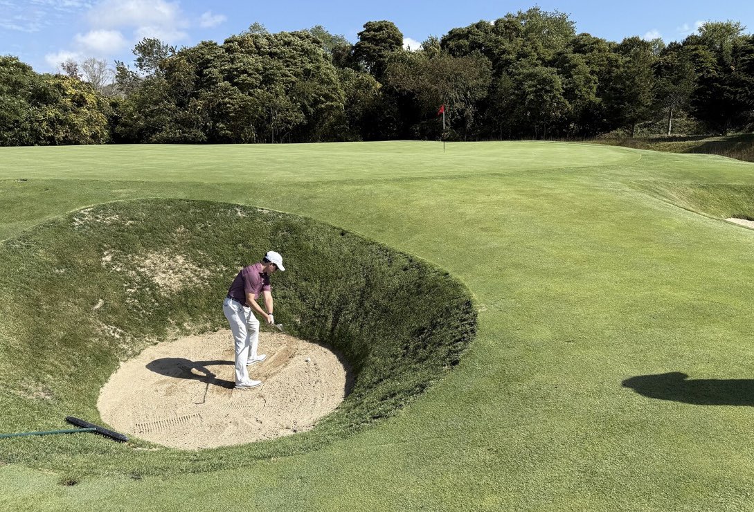 Preserved Links tweet media