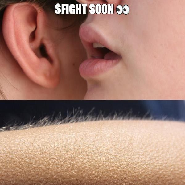 Fight.ID tweet media