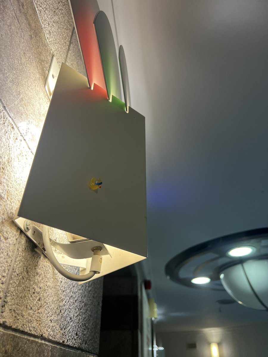 Weird vibes aye?🐣