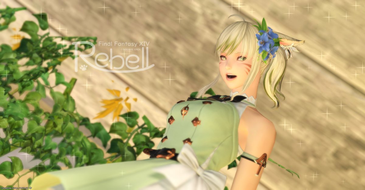 おはようございます！
ヘビー級はクリアしたけどメインはのんびり進行中(笑)
#おはミコ #ミコッテ #メスッテ