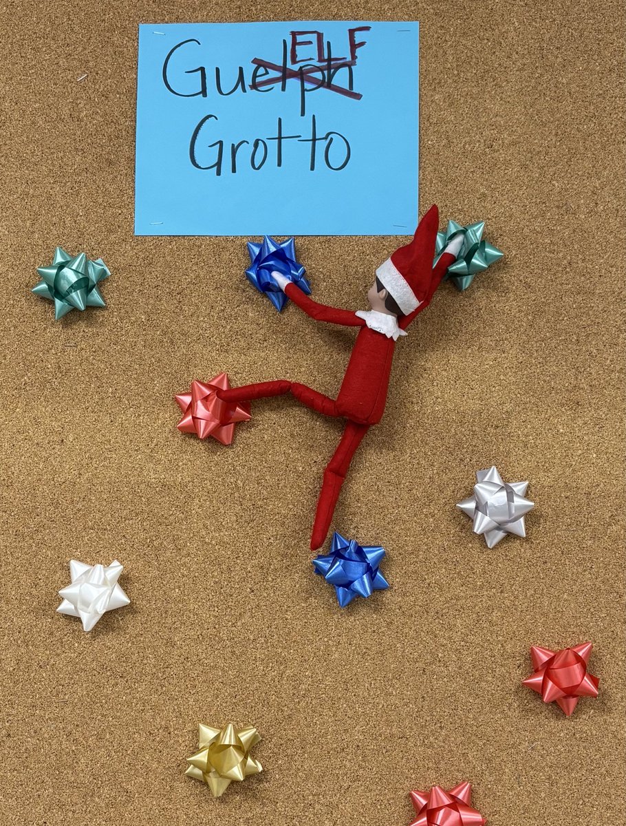 Rhiannon McIntosh tweet media