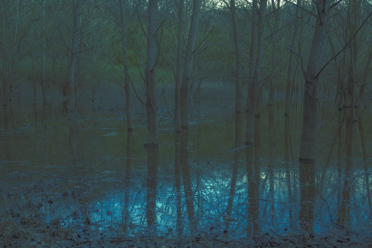 Nasim Ghanizadeh tweet media