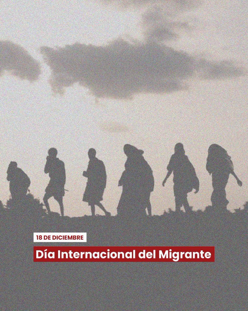 PPNArg's tweet image. En el Día Internacional del Migrante, proclamado por las @ONU_es, la PPN refuerza su compromiso en la promoción y protección de los #DDHH de las personas extranjeras privadas de libertad.