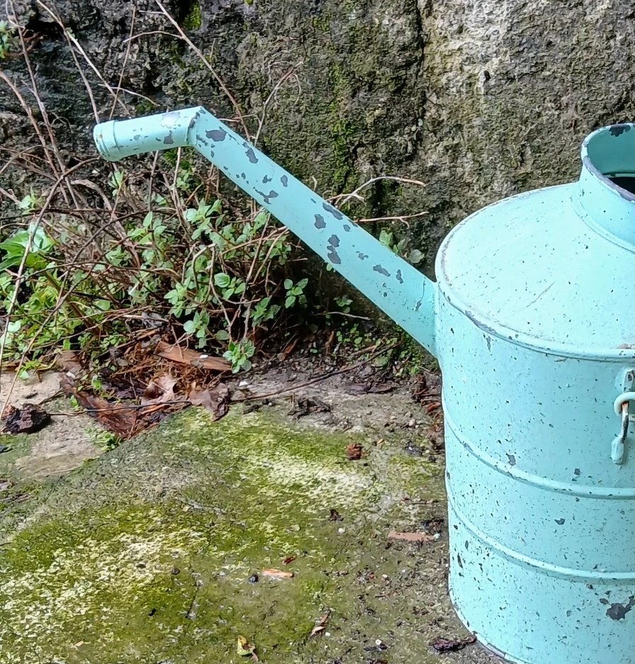 A long one.

#phalleidolia #phalleidolie #pareidolia #pareidolie