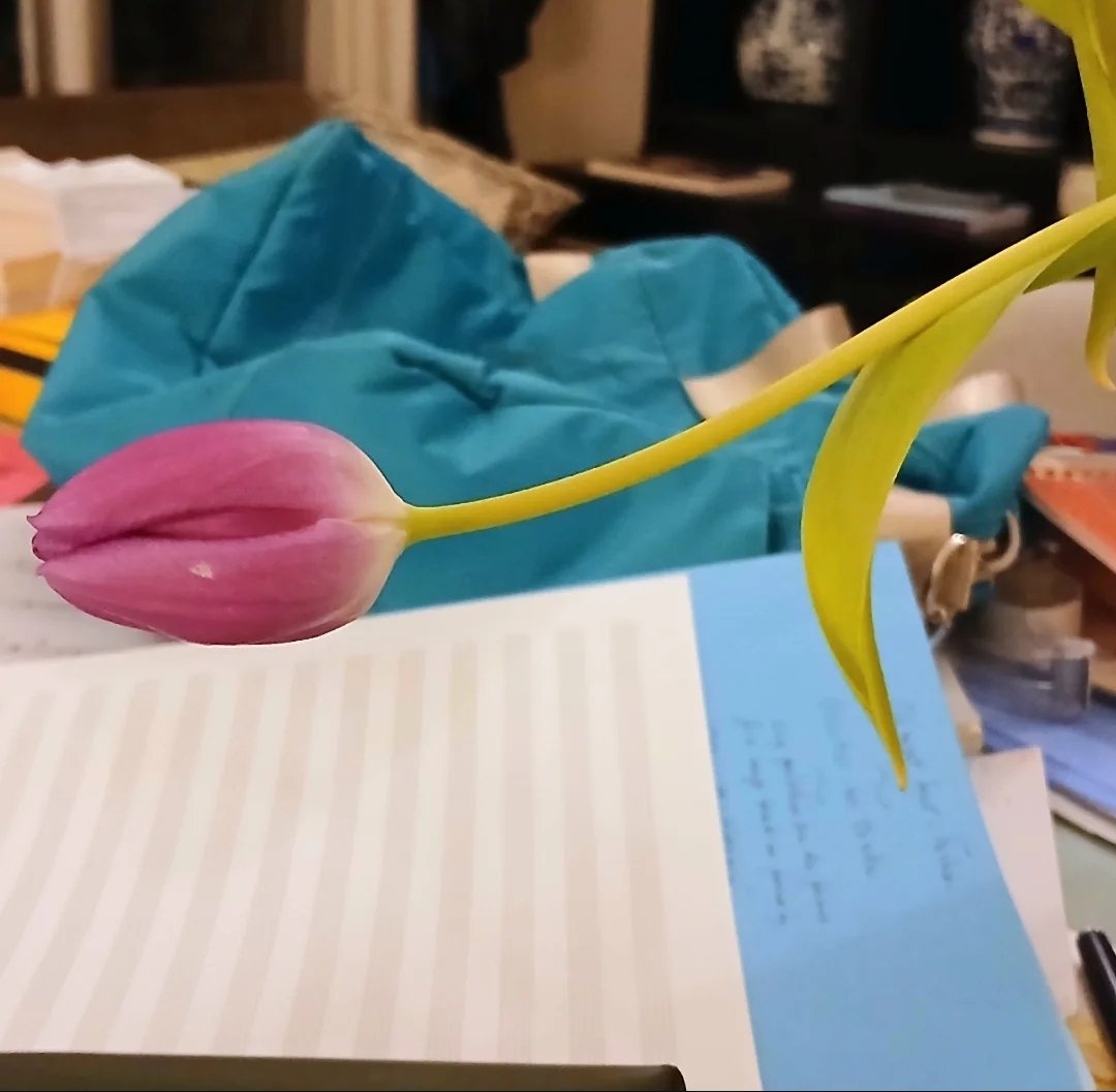 #phalleidolia #phalleidolie #pareidolia #pareidolie