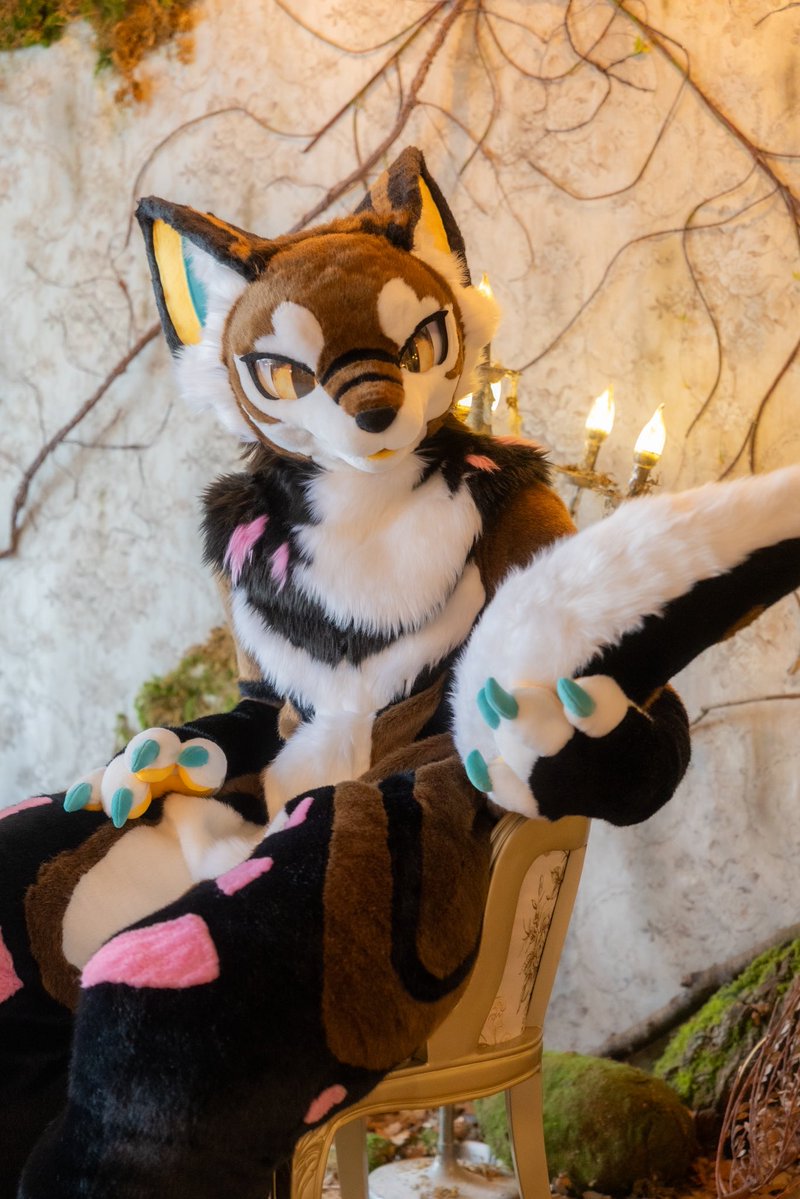 大きいしっぽ

#ふぁーりーファンタジー
#FursuitFriday