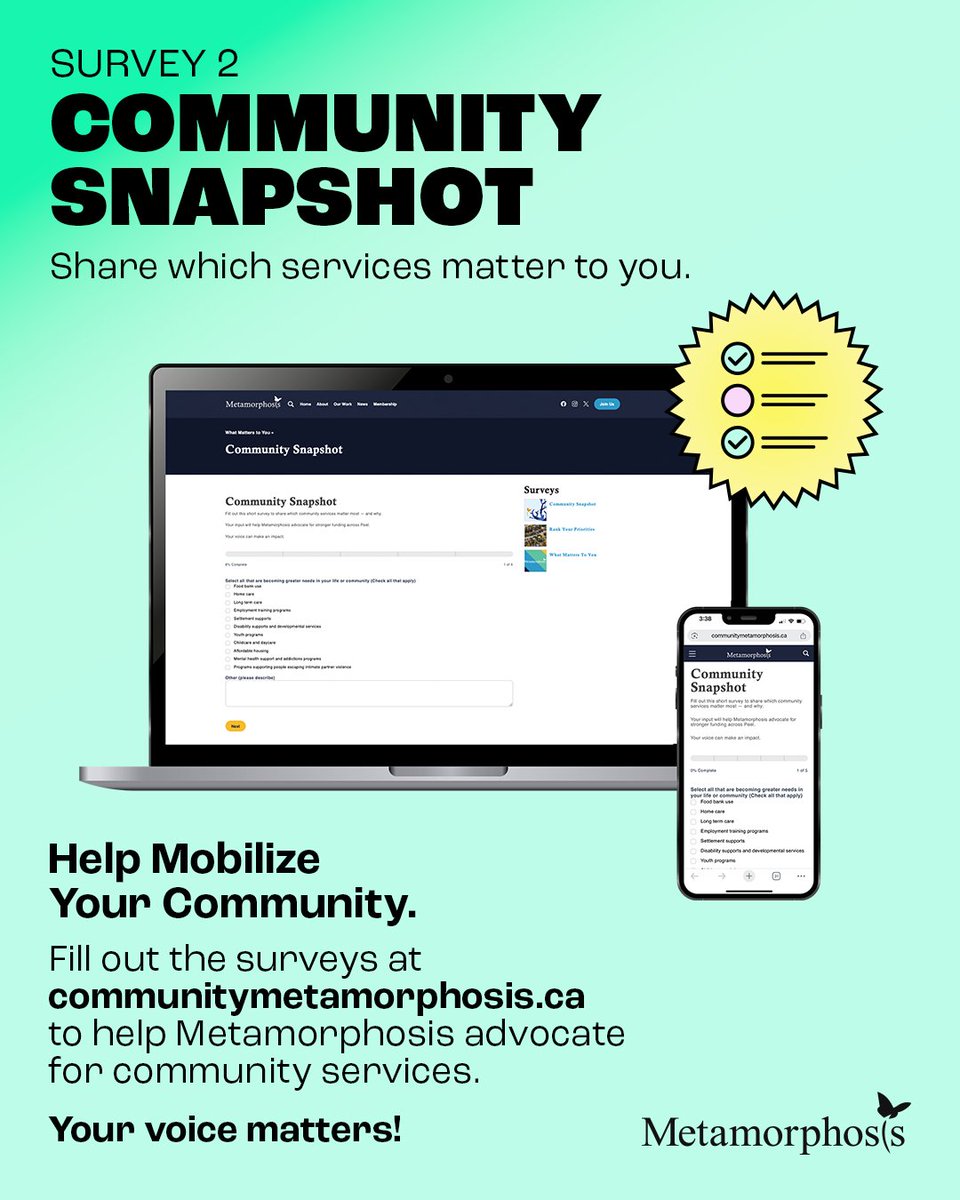 Metamorphosis Network tweet media