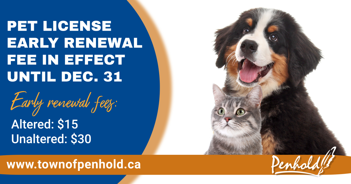 If you have an existing Town of Penhold Pet License, early renewal rates end December 31.
Renew your existing Pet License before the and of December and save money.  See website for details townofpenhold.ca/p/pet-licenses